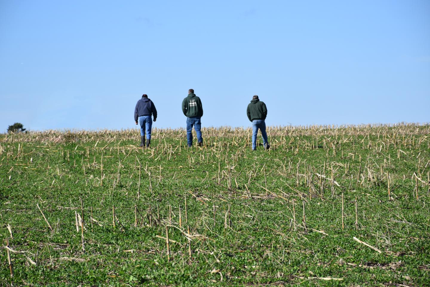 NRCS staff walking through field with producers.