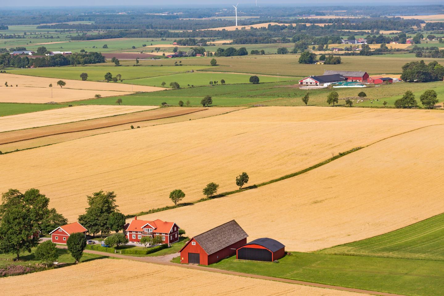Aerial farm photo