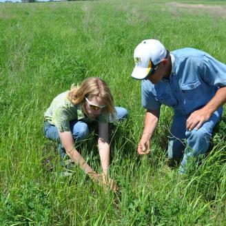 Landowner Bruce Pantze examines a newly seeded pollinator habitat with Lamoure Soil Conservation District Manager Susan Muske.