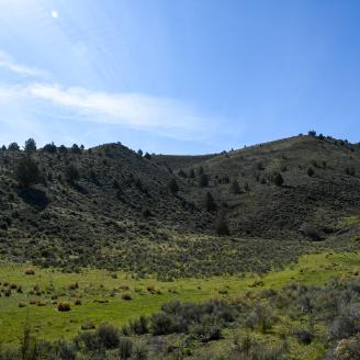 John Day, Oregon with junipers spread across the landscape