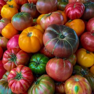 Organic heirloom tomato at the Jack London Square Farmers' Market in Oakland, CA, on Sunday, August 9, 2015. USDA photo by Lance Cheung.