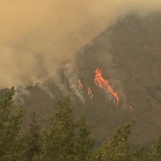 The Soberanes Fire located in the Los Padres National Forest in California began on Jul. 22, 2016 started by an illegal campfire.  The Soberanes Fire has consumed 86,294 acres. U.S. Forest Service photo.