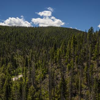Cars drive through Thompson Park in Beaverhead-Deerlodge National Forest.
Beaverhead-Deerlodge National Forest is the largest of the national forests in Montana, covering 3.35 million acres and throughout eight Southwest Montana counties.
USDA Photo by Preston Keres
