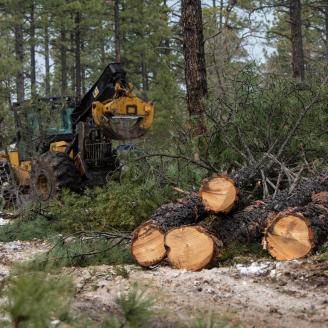 A U.S. Department of Agriculture (USDA) Forest Service (FS) Apache-Sitgreaves National Forests, Lakeside Ranger District's Billy Mountain timber sale contractor uses the skipper's grapple to grab several trees and drags them to a worksite to harvest, and load logs onto trucks, near Lakeside, AZ, on Dec. 6, 2018. This is part of the broader Four Forest Restoration Initiative, which is intended to treat more than 2.4 million acres of ponderosa pine forest across northern Arizona.
Current activity includes t
