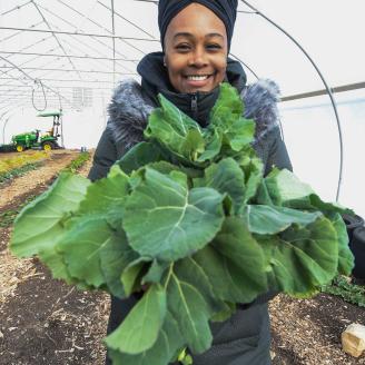 Sharrona Moore, the found of Lawrence Community Gardens, harvests collard greens in the garden's high tunnel on Feb. 2, 2021. The high tunnel was funded in part through the Natural Resources Conservation Services' Environmental Quality Incentives Program (EQIP), which Moore signed up for in 2018. The EQIP funding will also be used to plant a hedgerow at the garden located in Lawrence, Indiana. (Indiana NRCS photo by Brandon O'Connor)