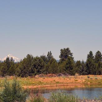 USDA's FPAC Under Secretary Robert Bonnie in Central Oregon, Friday, July 29, 2022 visiting two watershed projects with Senator Jeff Merkley, NRCS Oregon's State Conservationist Ron Alvarado and Farmers Conservation Alliance partners. USDA photo
 .