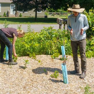 Kate Friesen and Scott Kempf check on their recently planted hedgerow at Singletree Flower Farm in Goshen, Indiana June 29, 2022. They founded the fresh cut flower farm in 2018. They sell flowers through a CSA, at local farmers’ markets and for special events. Friesen and Kempf received assistance through USDA’s Natural Resources Conservation Service’s Environmental Quality Incentives Program (EQIP) to add a high tunnel and hedgerow to the farm. (NRCS photo by Brandon O’Connor)