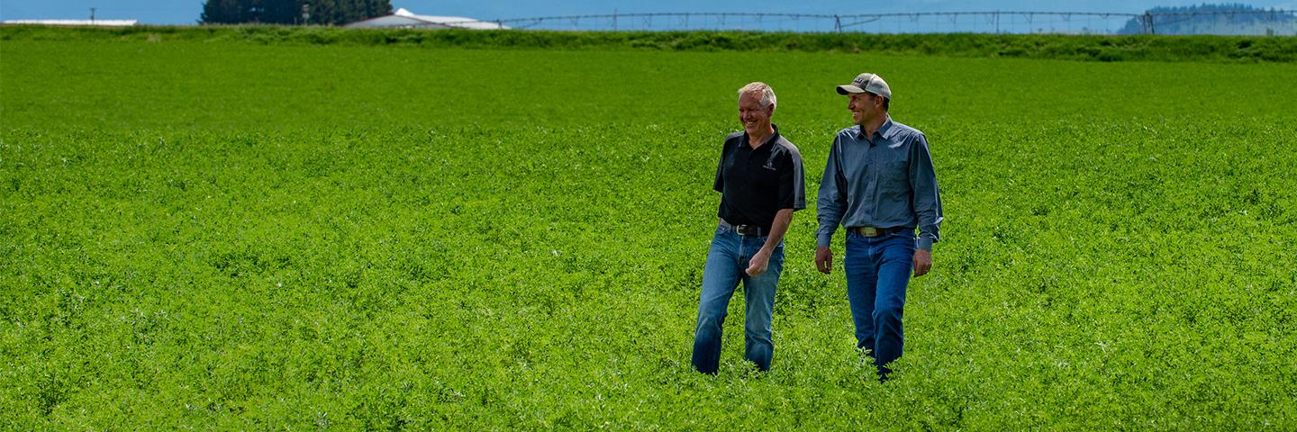 NRCS and landowner walk through an alfalfa field