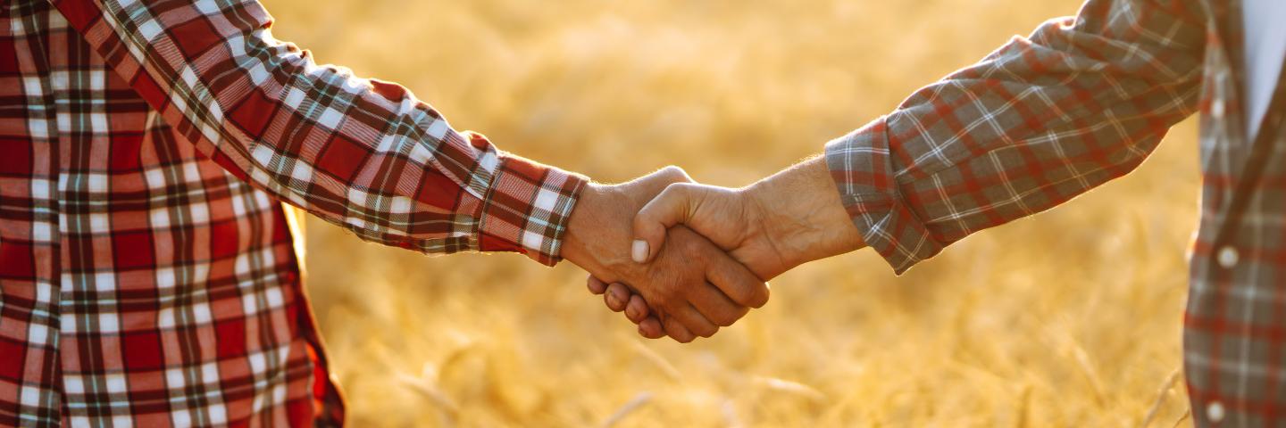 Two farmer standing and shaking hands in a wheat field.