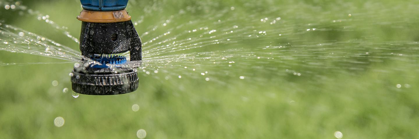 Sprinkler in crop field