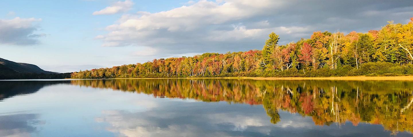 Trees with leaves changing orange in the fall line a lake