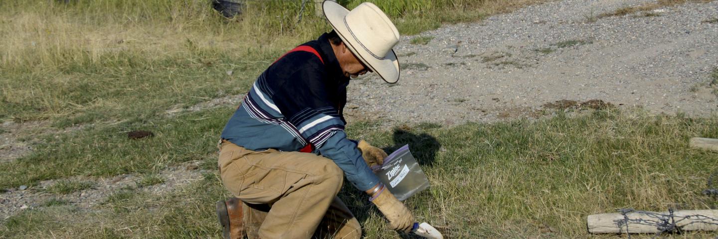 Producer Ted Hall using the Nutritional Balance Analyzer Testing Kit, West of Browning. Blackfeet Reservation, MT. August 2012.