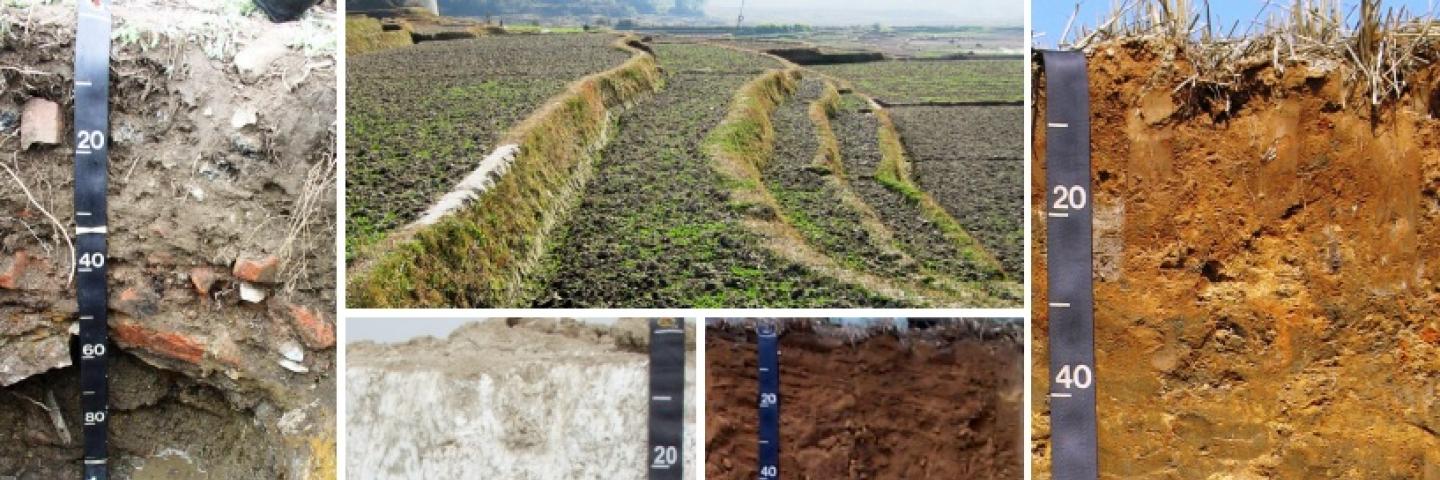 Soil images from the cover of the Keys to Soil Taxonomy.