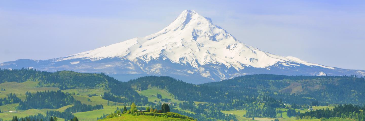 Mt Hood In Oregon