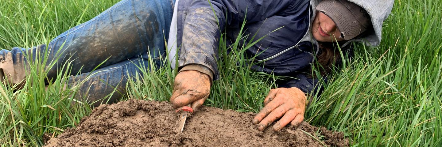 Oregon Soil Conservationist at Work