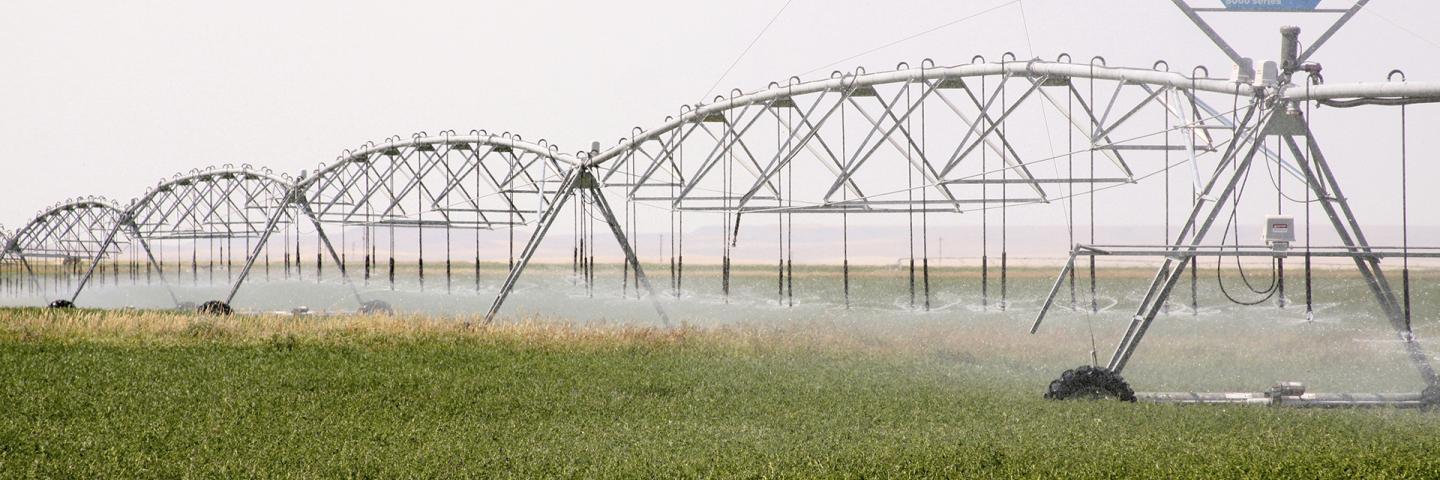 Pivot sprinkler irrigation on a field on the Blackfeet Reservation in Montana.