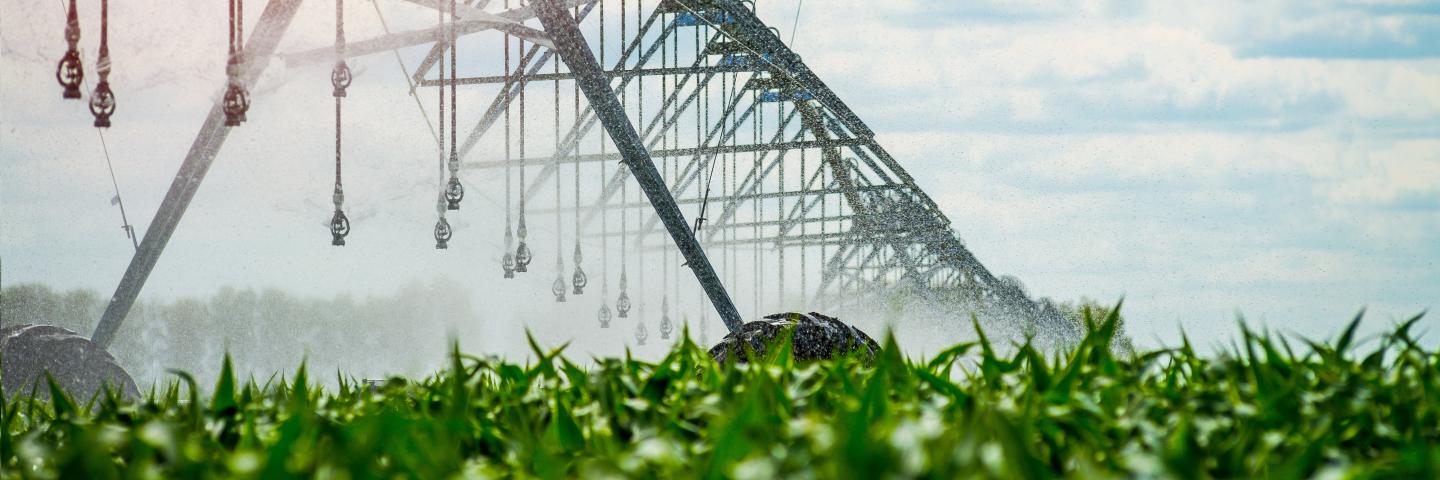 Irrigation pivot with mist droplets watering a nice, green crop