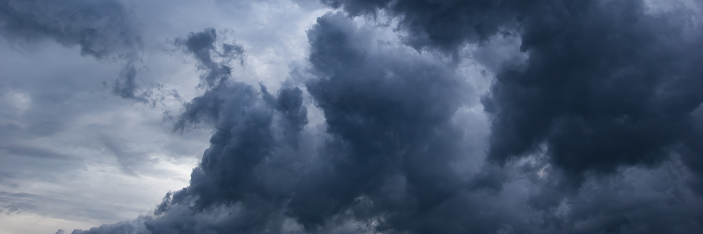 Stormy Weather Success Story
