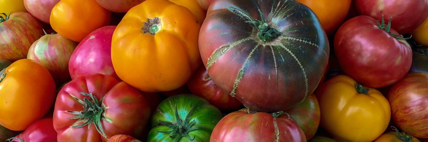 Organic heirloom tomato at the Jack London Square Farmers' Market in Oakland, CA, on Sunday, August 9, 2015. USDA photo by Lance Cheung.