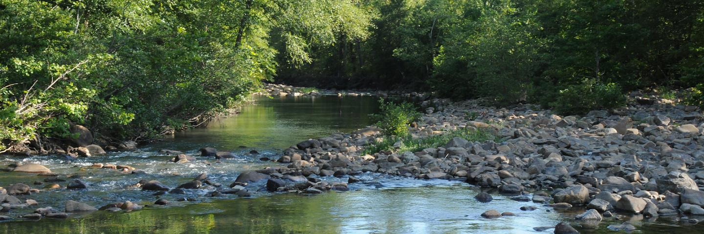 A river runs through the Ouachita National Forest in McCurtain County, Oklahoma on August 11, 2009. USDA photo by Alice Welch.