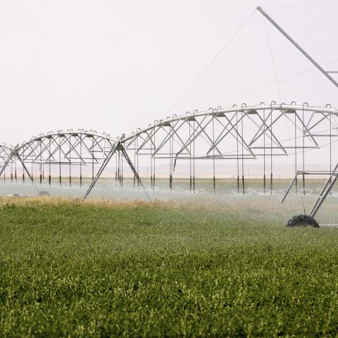 Pivot sprinkler irrigation on a field on the Blackfeet Reservation in Montana.