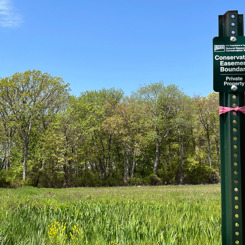 Conservation easement sign at Sowams Marsh WRE restoration site in Warren, RI, May 12, 2023.
