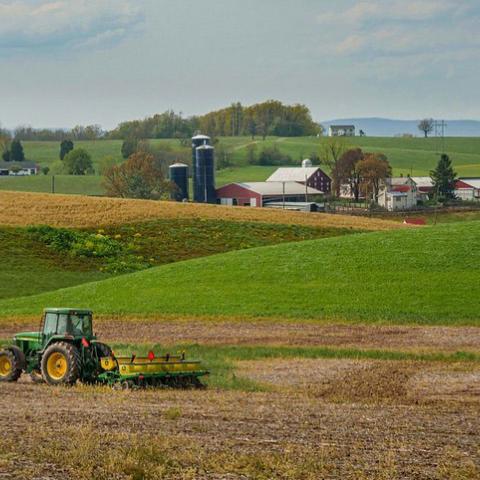 Tractor in a field