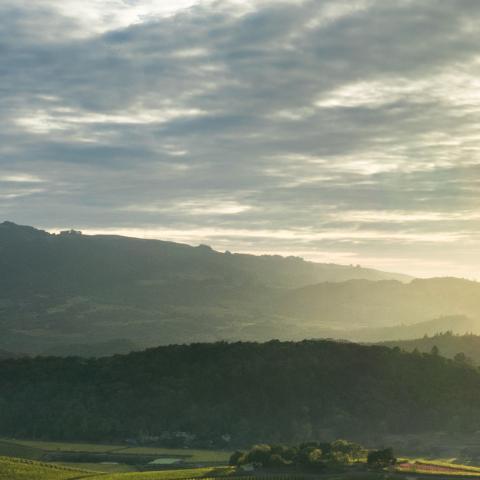 California Landscape