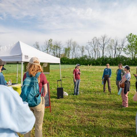 Field Day at Seedleaf Farm