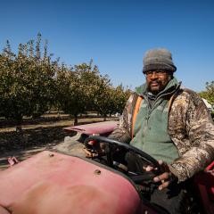 Farmer tending to pistachio grove in California.