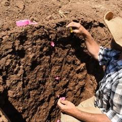 Graduate student describing soils profile