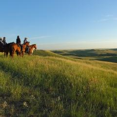 People on horses on the top of a hill, looking out over the green landscape with blue skies above.