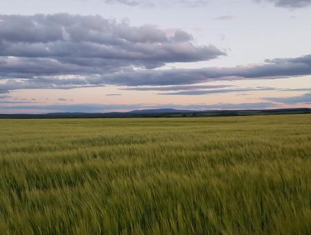 Landscape image in Aroostook County, Maine