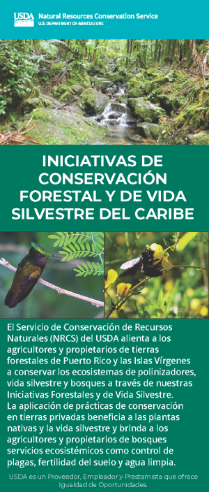 Iniciativas de conservación forestal y de vida silvestre del Caribe