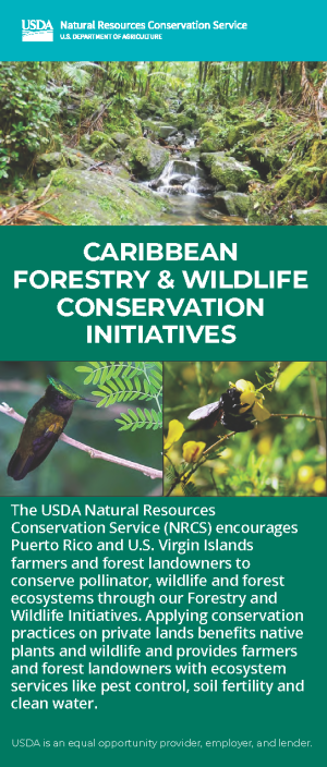 Caribbean Area Forestry and Wildlife Conservation brochure