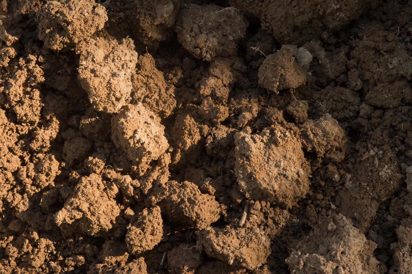 Moist healthy soil from a local farm that uses cover crops and a no-till operation is seen at the U.S. Department of Agriculture (USDA) Natural Resources Conservation Service soil health demonstration event