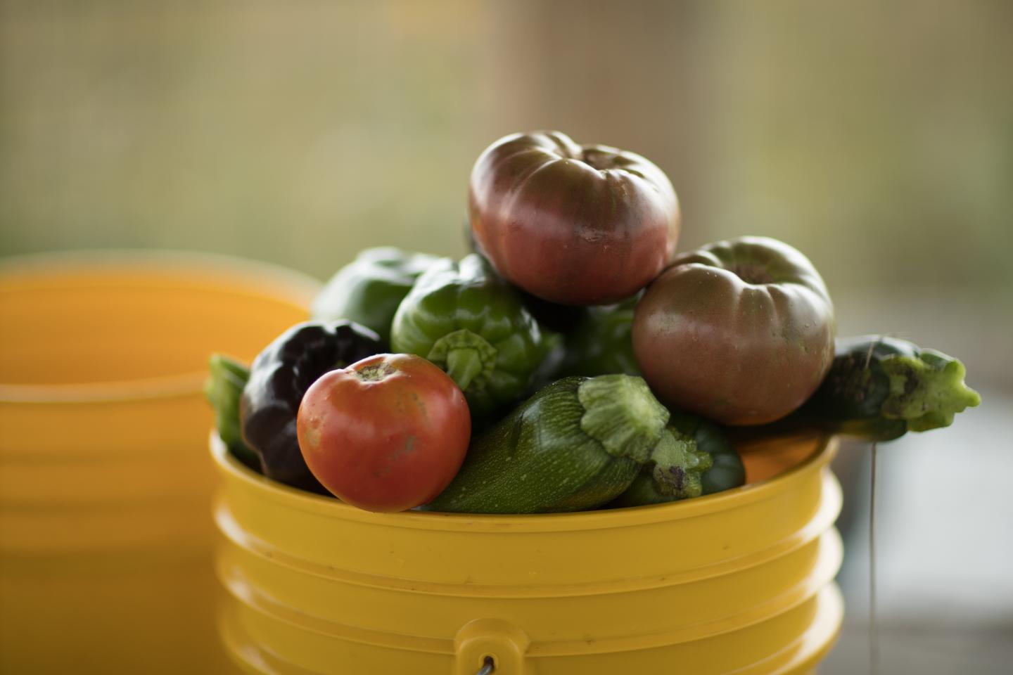 Community Garden Produce