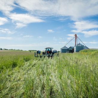 A tractor planting into green cover crops in the foreground, with grain bins and cloudy blue skies in the background.