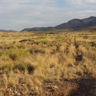 Rangeland with vegetation in the foreground, and mountains with cloudy skies in the background.
