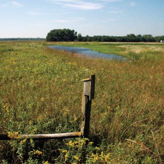 Wetlands with a bird box, with cloudy blue skies above.