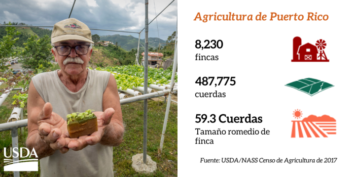 Agricultura de Puerto Rico - Censo de agricultura de 2017