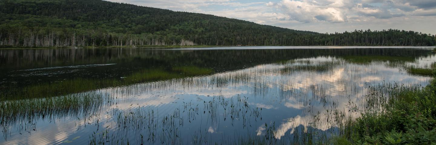 National Water Management Center  Natural Resources Conservation