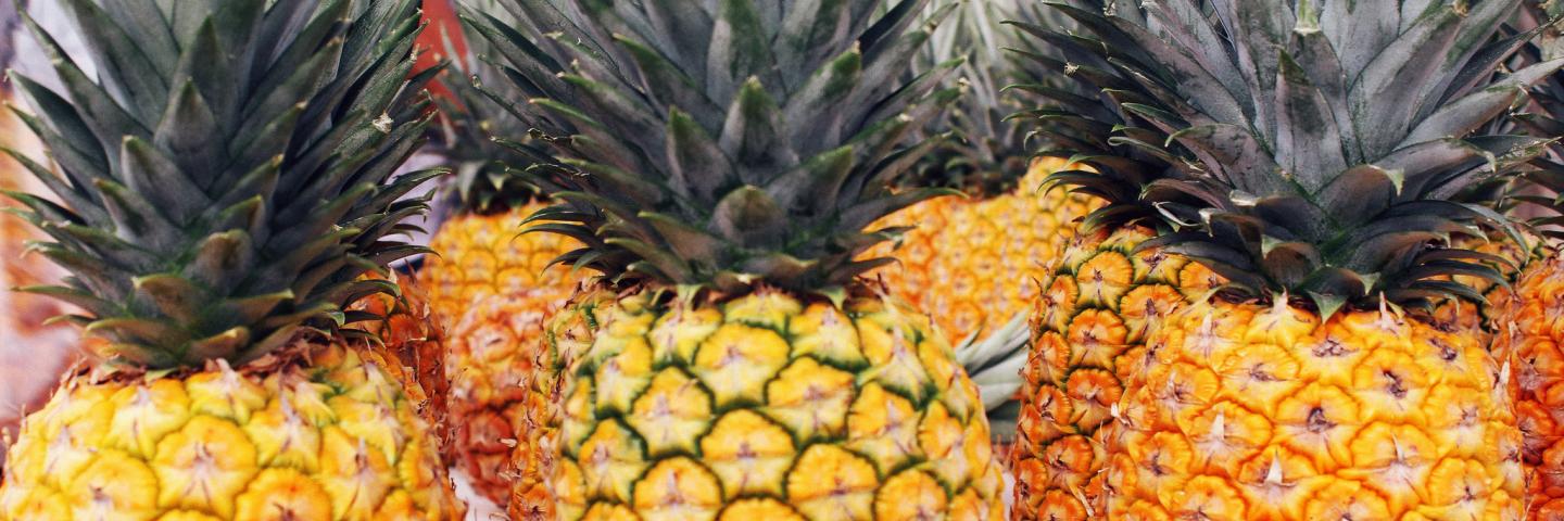 Pineapples in Puerto Rico - pina de Puerto Rico