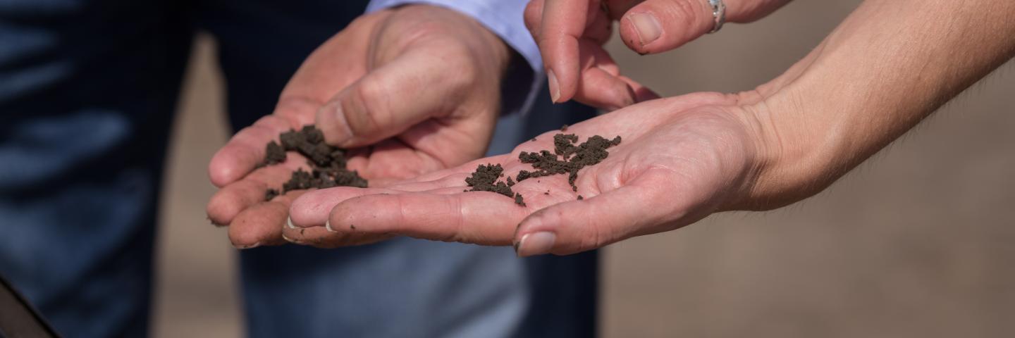 hands examining looking at soil