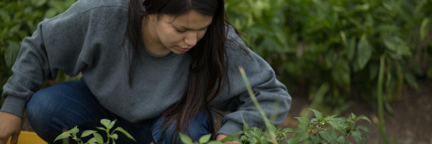 Rosebud Tribal Women Gardening