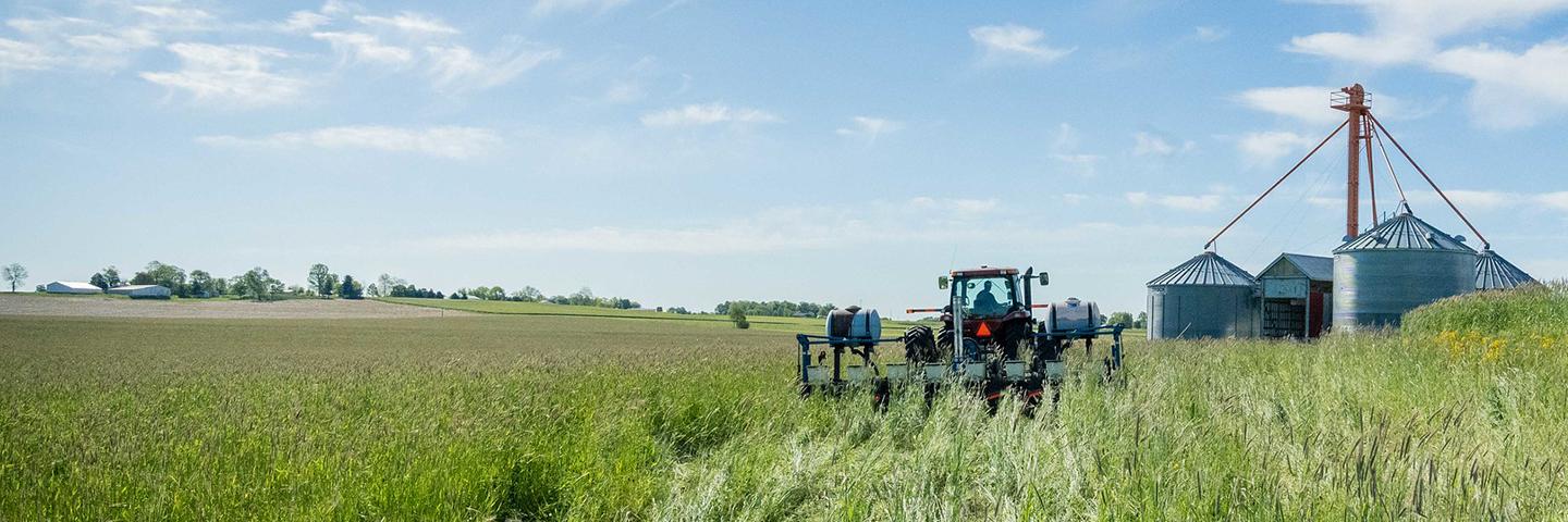 A tractor plants into green cover crops, with grain bins and cloudy blue skies in the background.