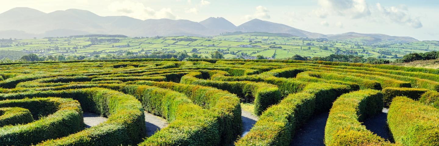 Hedge maze on a hill