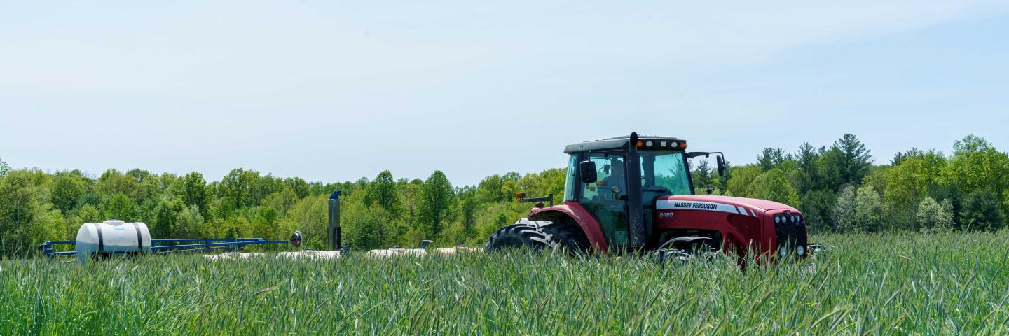 Steve Worland plants field corn into a stand of cover crop in Freedom, Indiana May 12, 2022. Worland no-till farms 700 acres and planted a diverse cover crop mix that included radish, crimson clover, turnips and cereal rye before planting green into them. (NRCS photo by Brandon O’Connor)