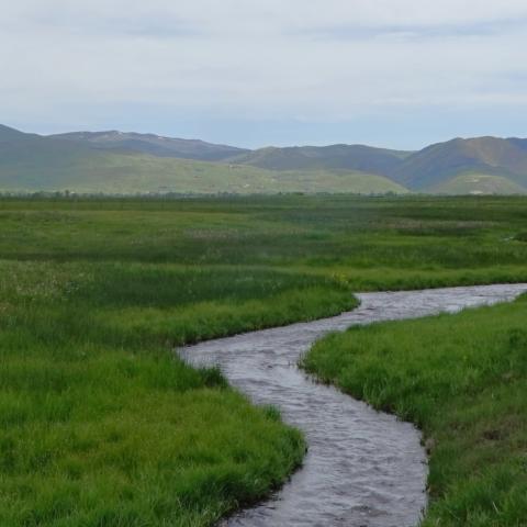 stream flows through green field with mountains in background.