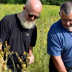 Neighbors Bob Steen and John Sandberg implemented CRP ground near the Mechanicsville city limits.